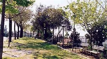 Da Angelo Assisi