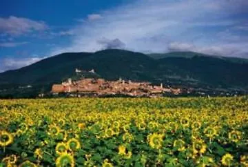 Da Angelo 3* Assisi